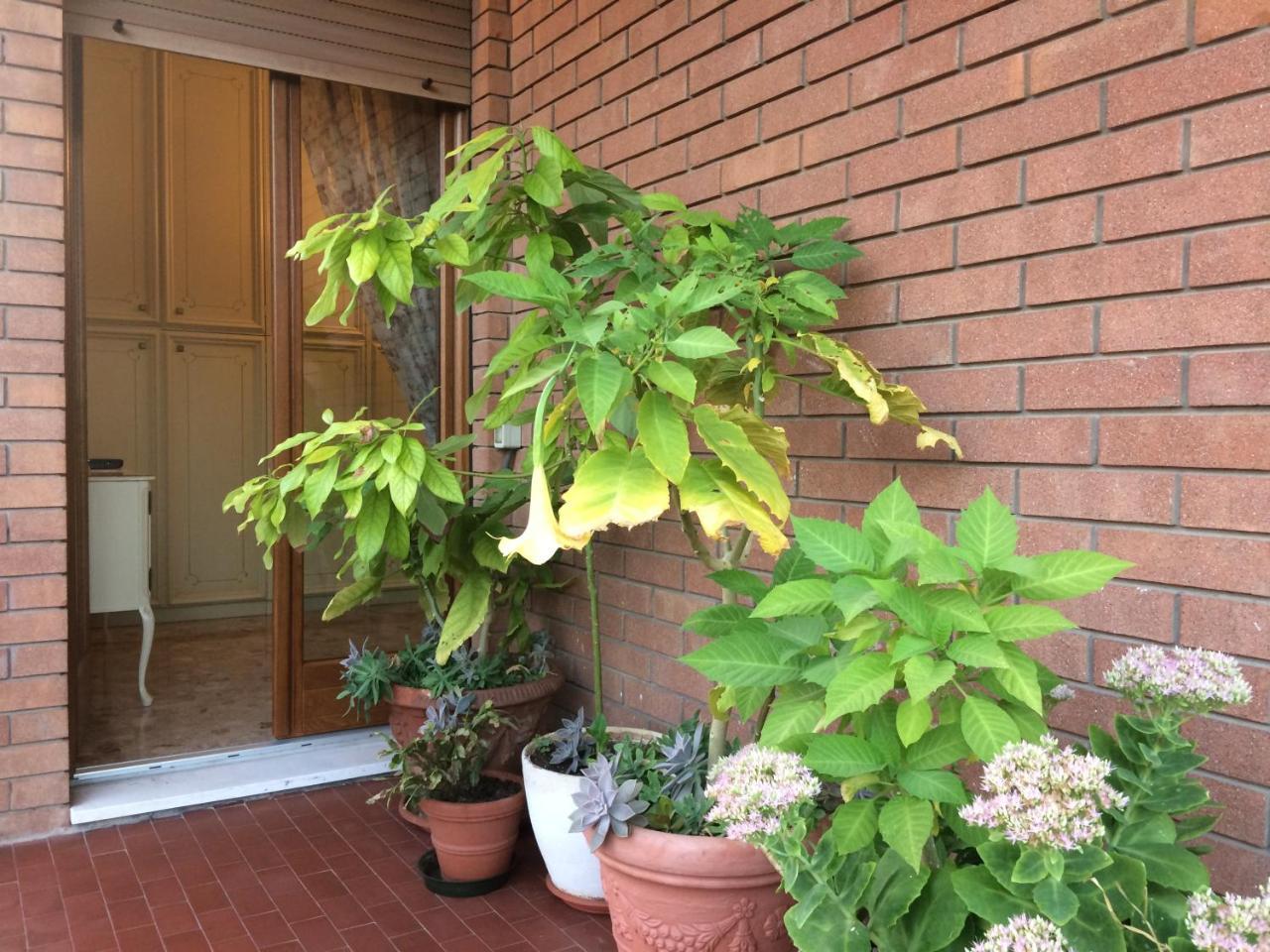 B&B Pergolesi Верона Экстерьер фото
